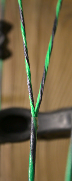 Whitetail Legend Strings (2021)